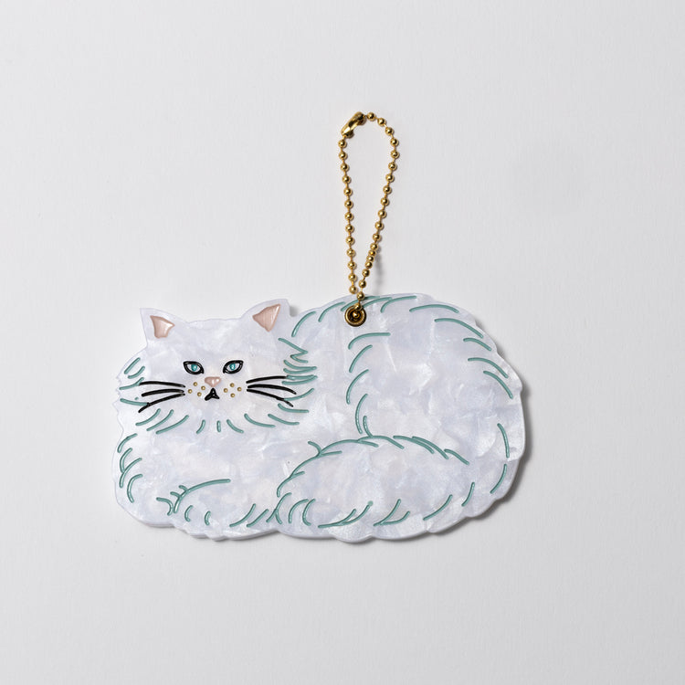 FLUFFY CAT