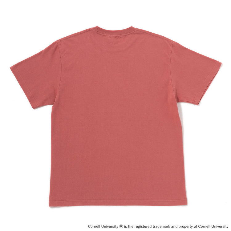 Cornell University | コーネル Short Sleeve T-Shirt