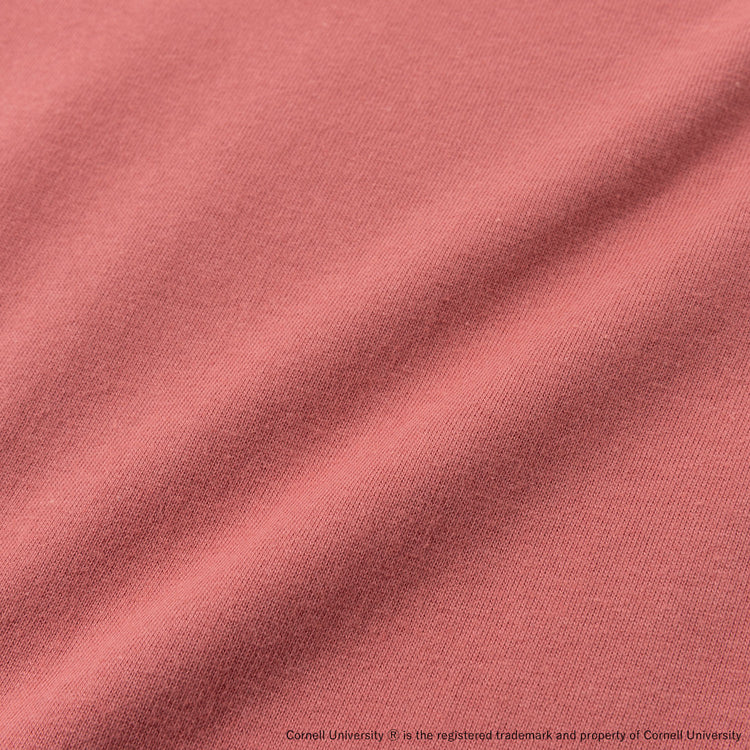 Cornell University | コーネル Short Sleeve T-Shirt