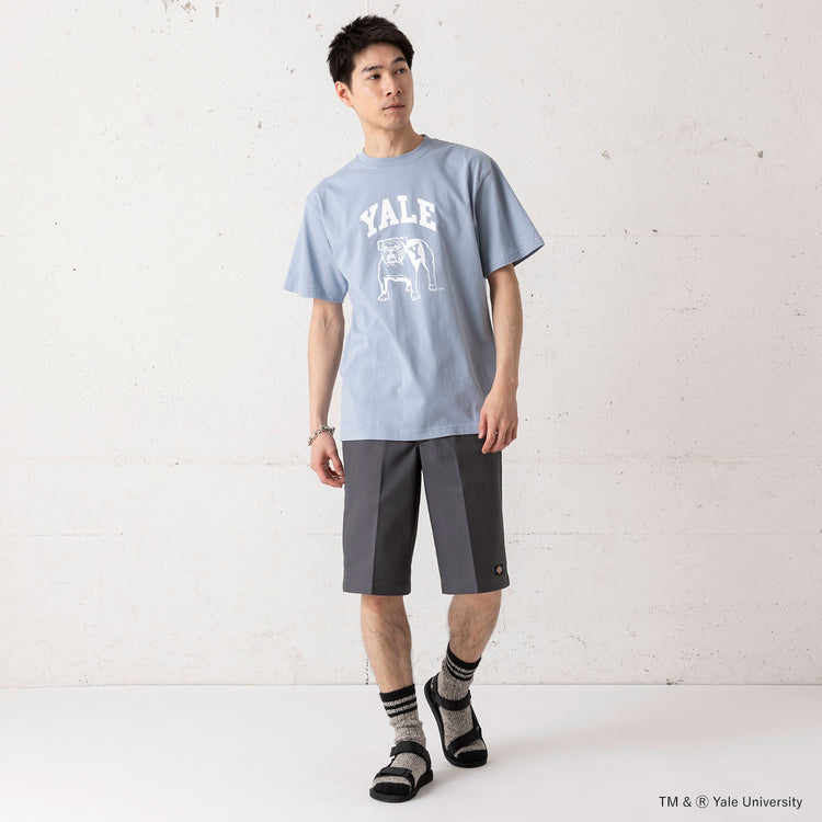着用サイズ L(身長180cm)