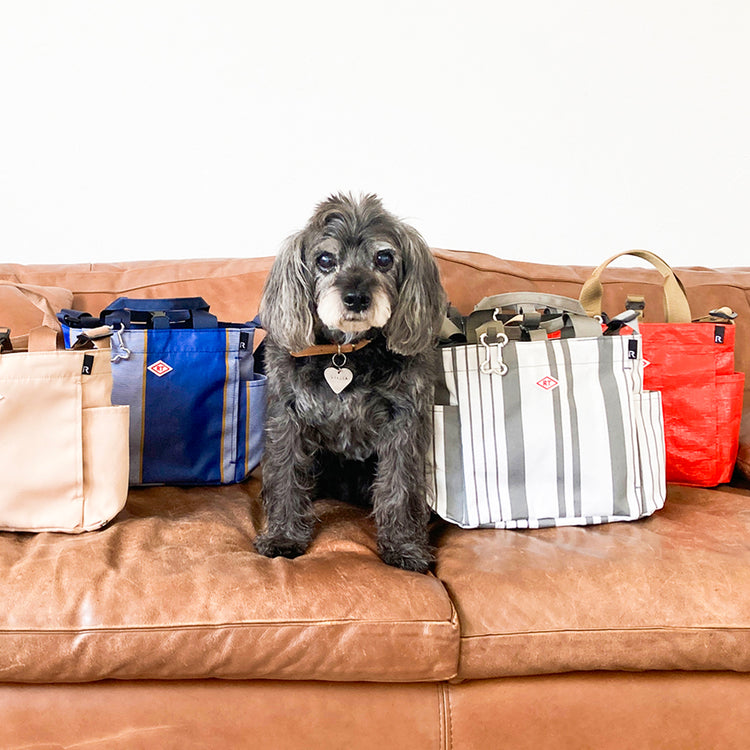 ROOTOTE | ルートート SN.スクエア.DOG.BUDDY-A