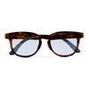 Tortoise/Photochromic Grey