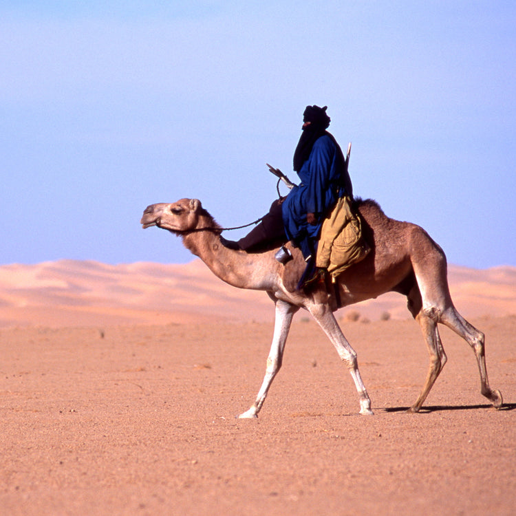 Adawat'n Tuareg | アダワットトゥアレグ TAFOUKT TISSGHT