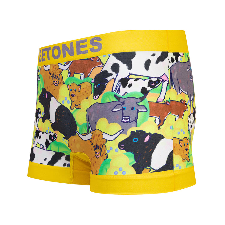BETONES | ビトーンズ MOTHER FARM2
