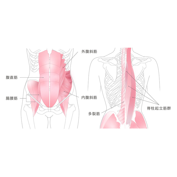 &MEDICAL | アンドメディカル　MALLOW