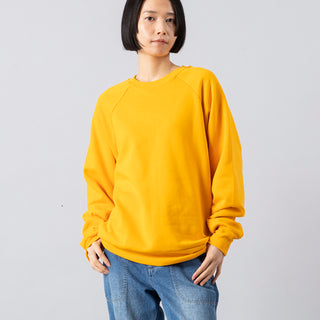 Healthknit | ヘルスニット　クラシックスウェット クルーネック長袖