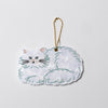 FLUFFY CAT