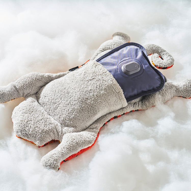 POST GENERAL | ポストジェネラル　プランプ充電式湯たんぽ＆クッション タイガー