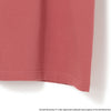 Cornell University | コーネル　Short Sleeve T-Shirt