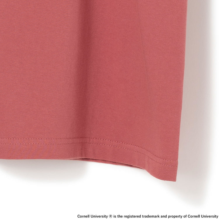 Cornell University | コーネル　Short Sleeve T-Shirt