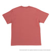 Cornell University | コーネル　Short Sleeve T-Shirt
