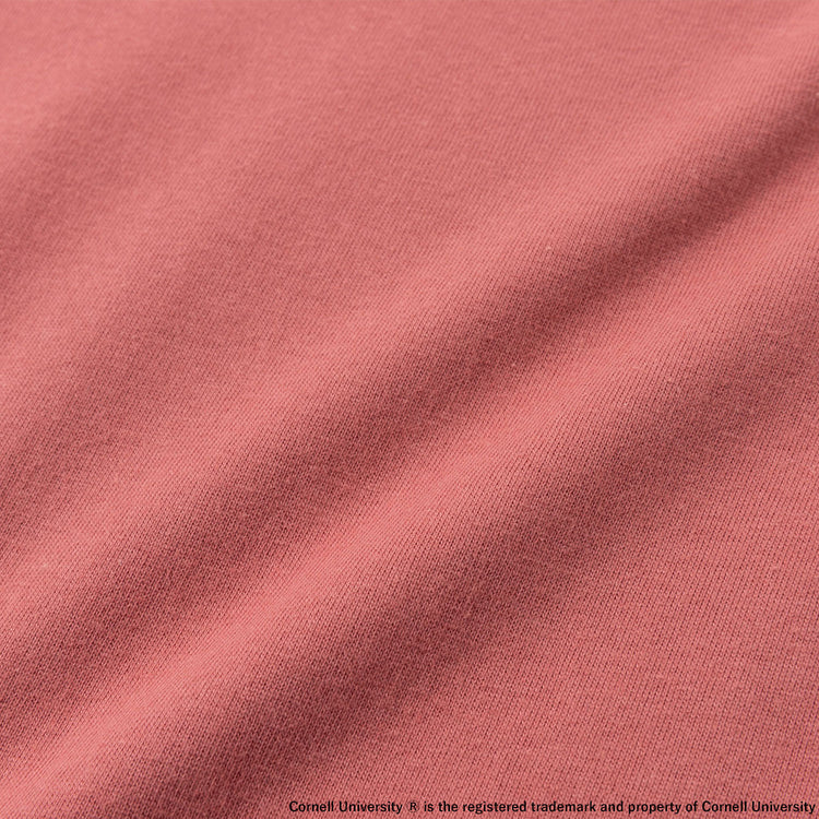 Cornell University | コーネル　Short Sleeve T-Shirt