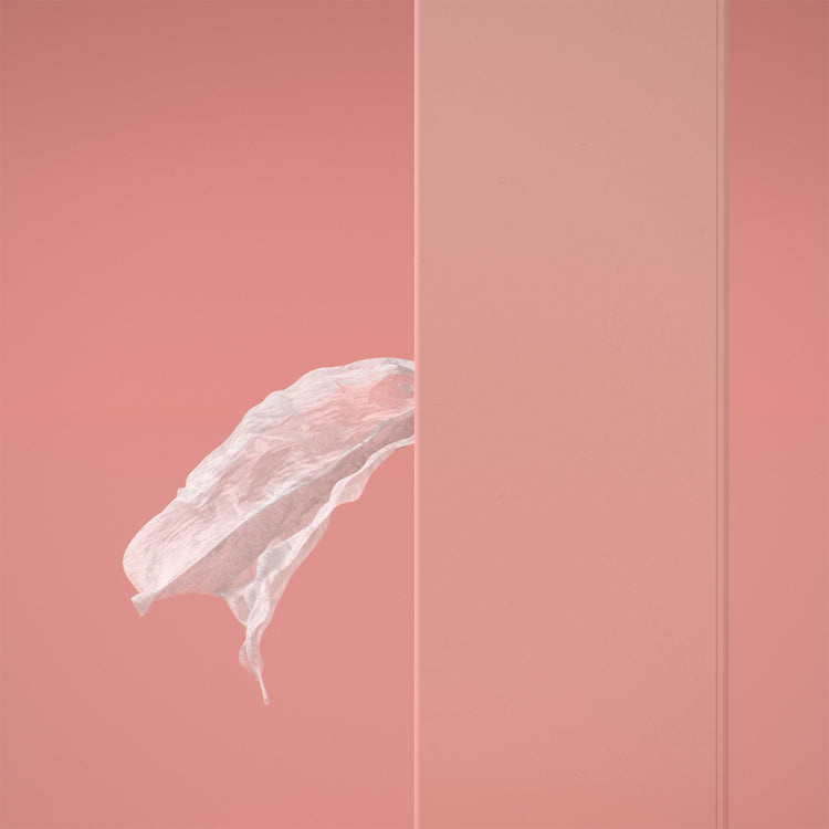 SPEXTRUM | スペクトラム　Flapper tissue Tissue UP Girl