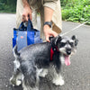 ROOTOTE | ルートート SN.スクエア.DOG.BUDDY-A