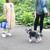 ROOTOTE | ルートート SN.スクエア.DOG.BUDDY-A