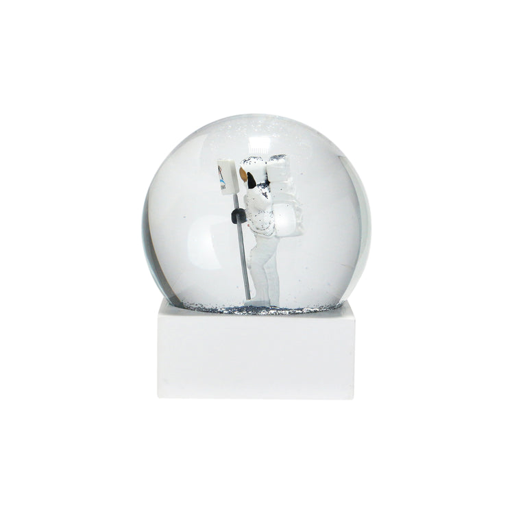 DETAIL | ディテール　NASA SNOW GLOBE