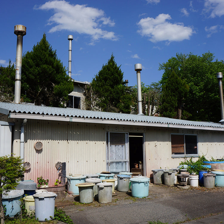 健一窯 | ケンイチガマ　Begin別注 益子焼・おにぎり皿（健一窯／大塚雅淑）＋栃木産水清米2kg＋サンザル梅干し