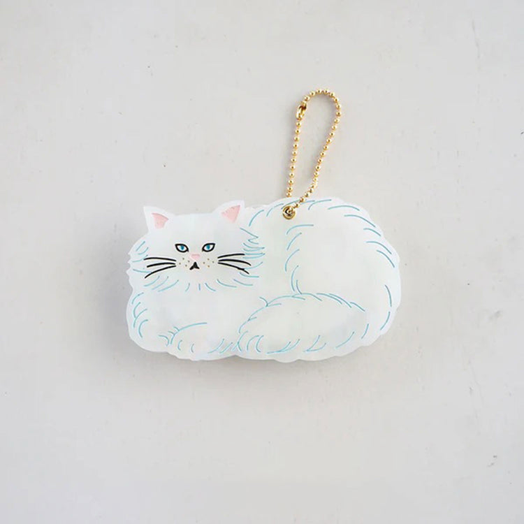 FLUFFY CAT