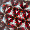 Red Dots