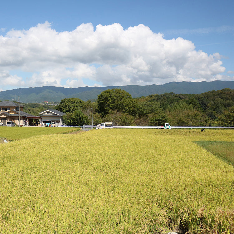 大西啓斗 | オオニシヒロト　和歌山県産「合鴨米 イクヒカリ」新米5㎏（令和６年産）