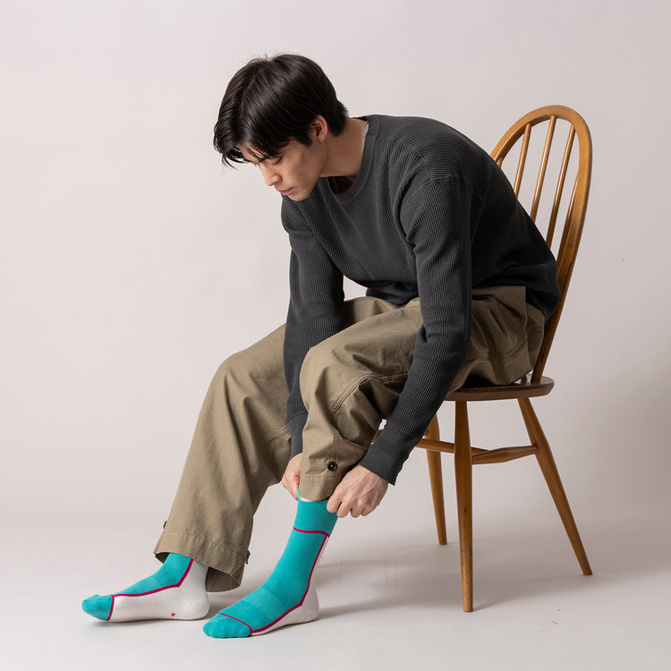 CHICSTOCKS | シックストックス　はやぶさ こまち かがやき
ラインソックス