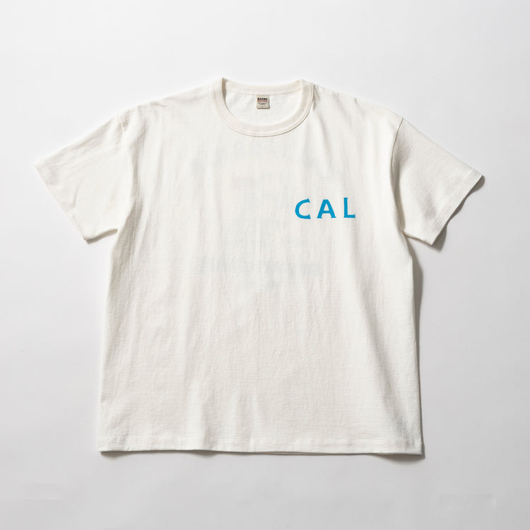 10/WHT