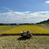 おくむら農園 | オクムラノウエン　熊本県産「菊池米 ヒノヒカリ」3kg(令和5年産)