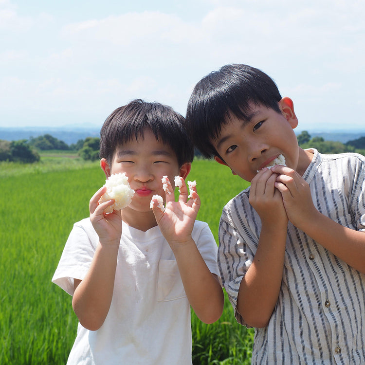 おくむら農園 | オクムラノウエン　熊本県産「菊池米 ヒノヒカリ」3kg(令和5年産)