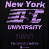 DISCUS Athletic | ディスカスアスレチック　Begin別注 リバーシブルカレッジTシャツ NYU