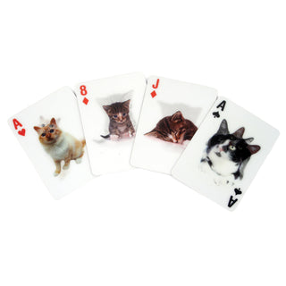 KIKKERLAND | キッカーランド　3D Cat Cards