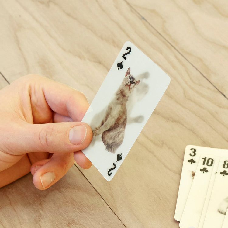 KIKKERLAND | キッカーランド　3D Cat Cards