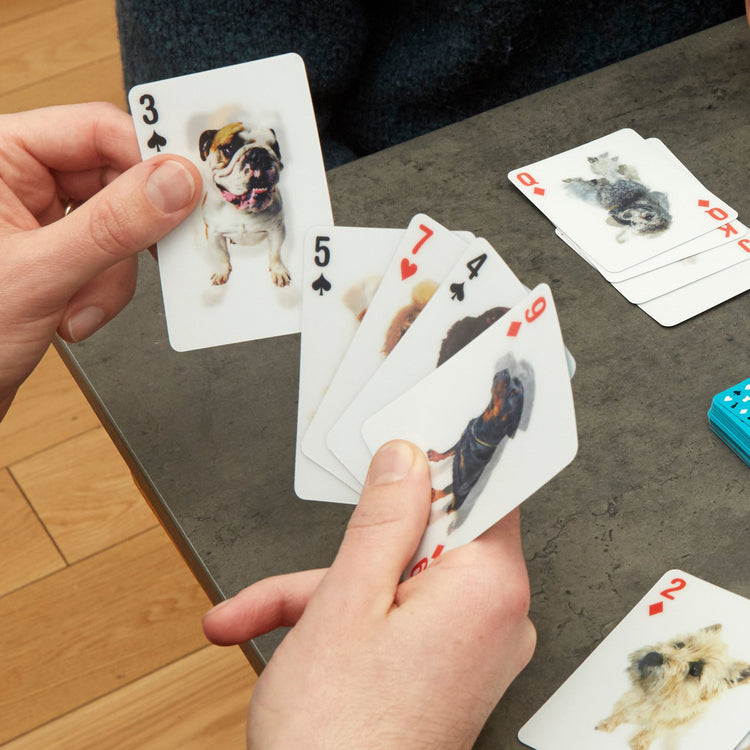KIKKERLAND | キッカーランド　3D Dog Cards