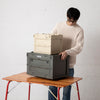 SLOWER | スロウワー FOLDING CONTAINER Gambon(L)